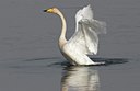 BUITEN BEELD Foto: 20854