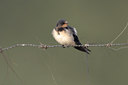 BUITEN BEELD Foto: 20947