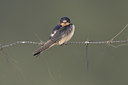 BUITEN BEELD Foto: 20949