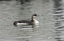 BUITEN BEELD Foto: 20966