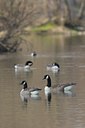 BUITEN BEELD Foto: 20973