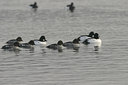 BUITEN BEELD Foto: 20996