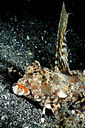 BUITEN BEELD Foto: 209343
