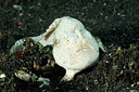 BUITEN BEELD Foto: 209345