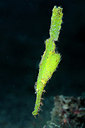 BUITEN BEELD Foto: 209376