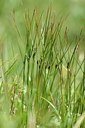BUITEN BEELD Foto: 209497