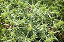 BUITEN BEELD Foto: 209642