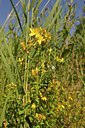 BUITEN BEELD Foto: 209664