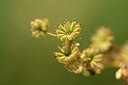 BUITEN BEELD Foto: 209682