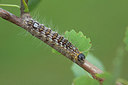 BUITEN BEELD Foto: 209705