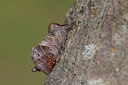 BUITEN BEELD Foto: 209706