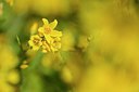 BUITEN BEELD Foto: 209727