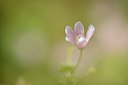 BUITEN BEELD Foto: 209739