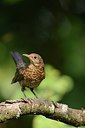 BUITEN BEELD Foto: 209782