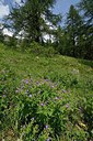 BUITEN BEELD Foto: 209809
