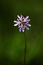 BUITEN BEELD Foto: 209834