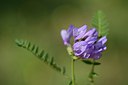 BUITEN BEELD Foto: 209845
