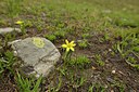 BUITEN BEELD Foto: 209868