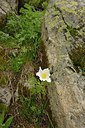 BUITEN BEELD Foto: 209895