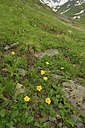BUITEN BEELD Foto: 209897