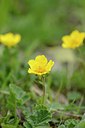 BUITEN BEELD Foto: 209903