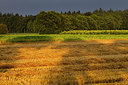 BUITEN BEELD Foto: 209966