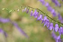BUITEN BEELD Foto: 210056