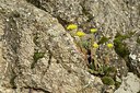 BUITEN BEELD Foto: 210059