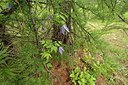 BUITEN BEELD Foto: 210074