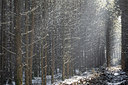 BUITEN BEELD Foto: 210100