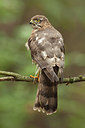 BUITEN BEELD Foto: 210173