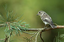 BUITEN BEELD Foto: 210189