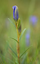 BUITEN BEELD Foto: 210196
