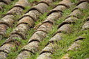 BUITEN BEELD Foto: 210273