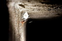 BUITEN BEELD Foto: 210358