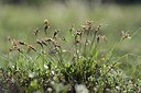BUITEN BEELD Foto: 210461