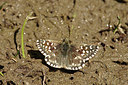 BUITEN BEELD Foto: 210500