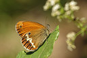 BUITEN BEELD Foto: 210508