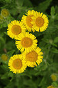 BUITEN BEELD Foto: 210526