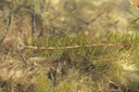 BUITEN BEELD Foto: 210555