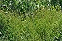 BUITEN BEELD Foto: 210557