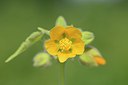 BUITEN BEELD Foto: 210560