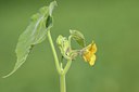 BUITEN BEELD Foto: 210564