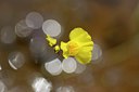 BUITEN BEELD Foto: 210567