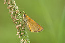 BUITEN BEELD Foto: 210588