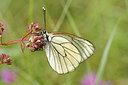 BUITEN BEELD Foto: 210590