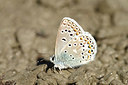 BUITEN BEELD Foto: 210591