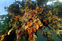 BUITEN BEELD Foto: 210672