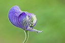 BUITEN BEELD Foto: 210739