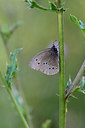 BUITEN BEELD Foto: 210798